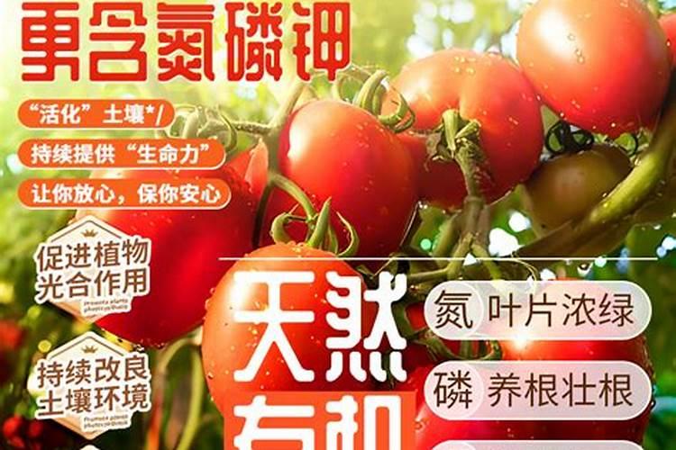 种菜用尿素还是复合肥