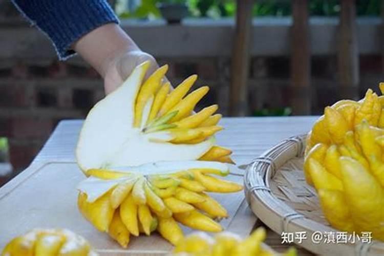 佛手柑的栽培技术