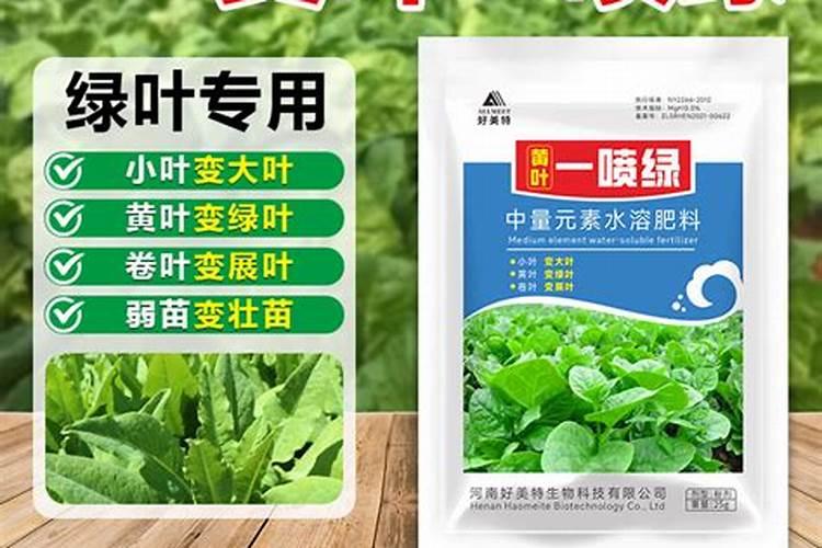 金银花有哪些施肥的技术？