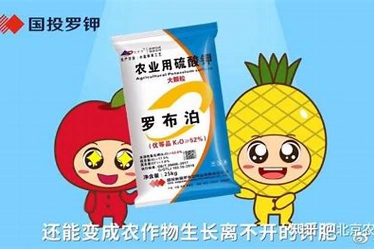 樱桃树八月份施什么肥