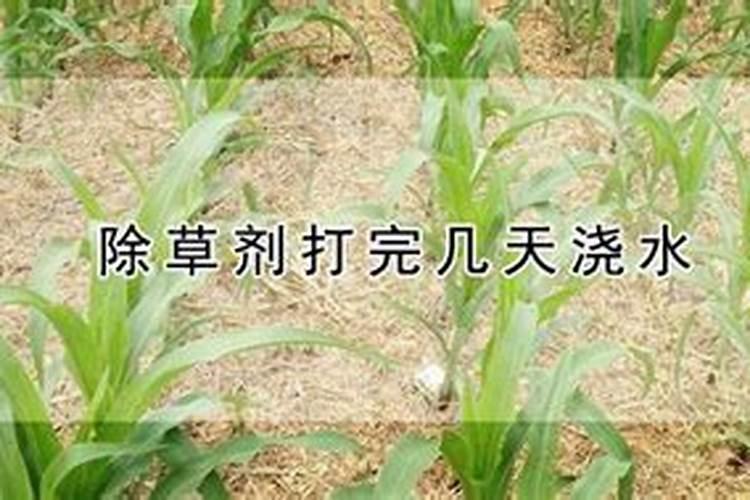 大豆打完除草剂多久可以打叶面肥水？