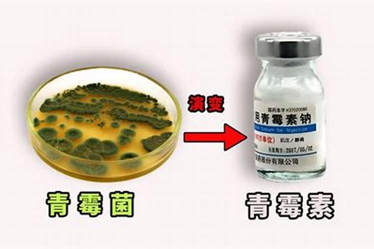 核桃早开口和黑皮是什么原因？