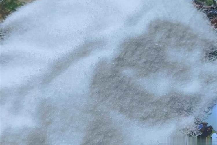 水培白掌叶子发黄怎么办