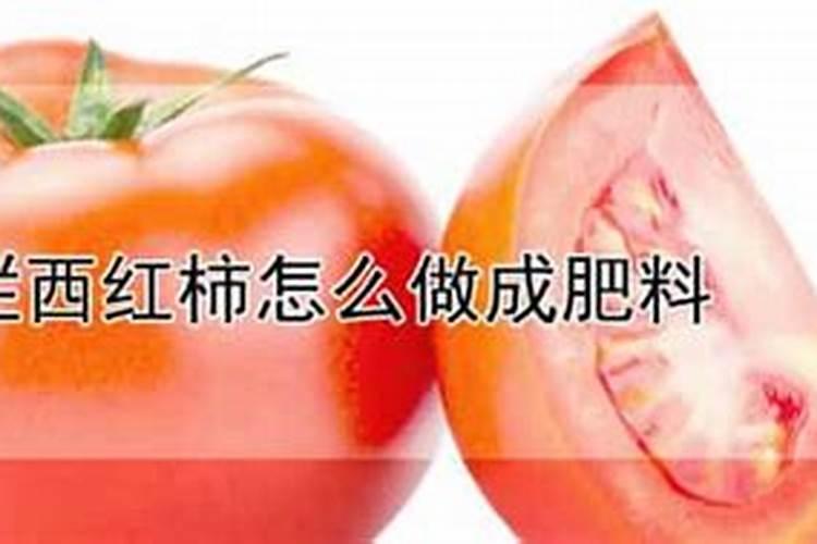 烂西红柿怎么做成肥料