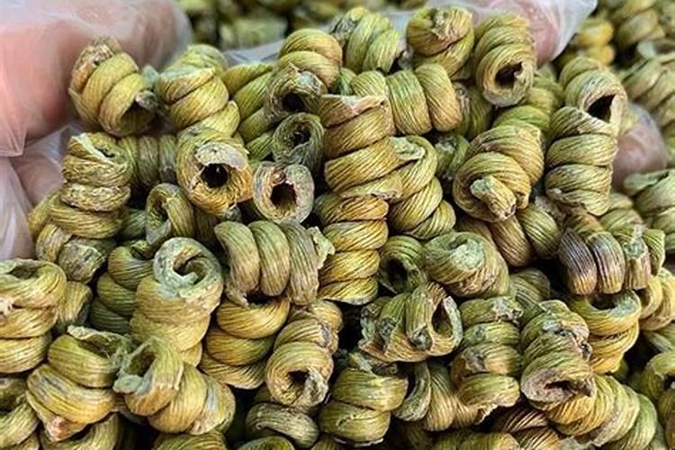 葡萄在什么时间施海澡肥好