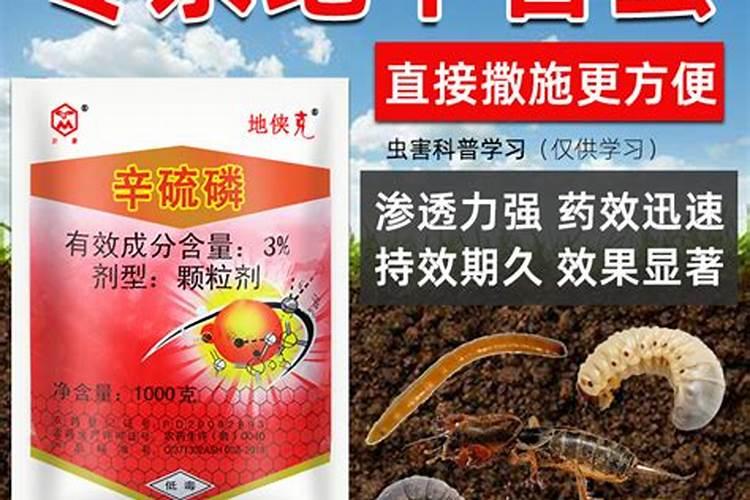 杀虫的可以和硼肥混用吗