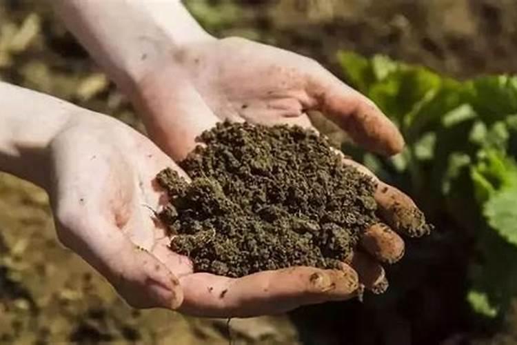 氮肥有哪几种叶面肥为氮肥