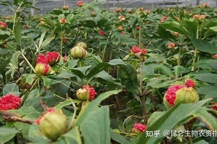 辽宁绕阳河发源地