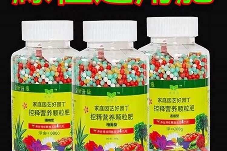 用什么除草剂能除了银毛龙癸？