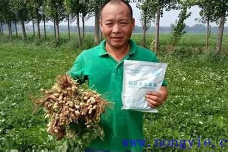 微量元素肥料使用方法 微量元素肥料有哪几种