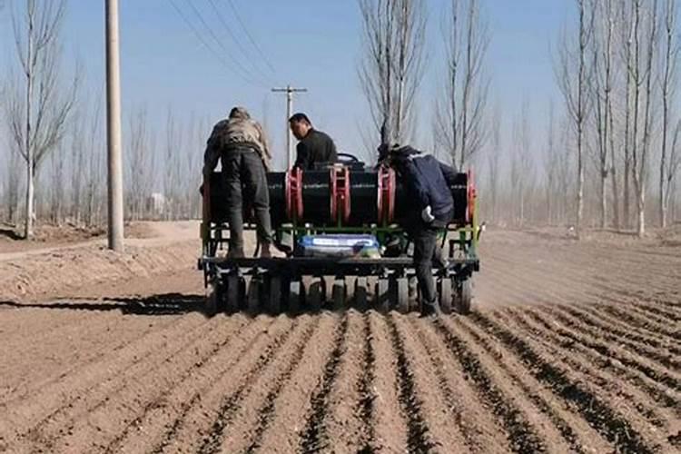 复合肥撒在地里面的肥效是多少天