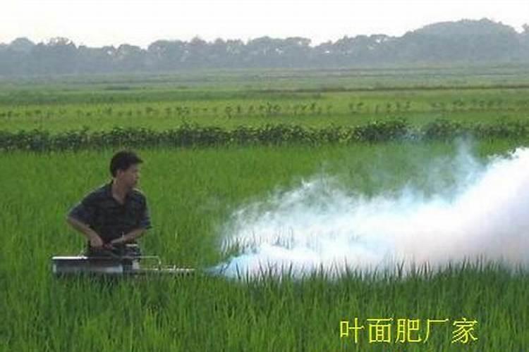 美洲星叶面肥能打烟吗