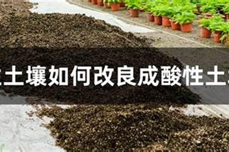 适合盐碱地改良的磷肥