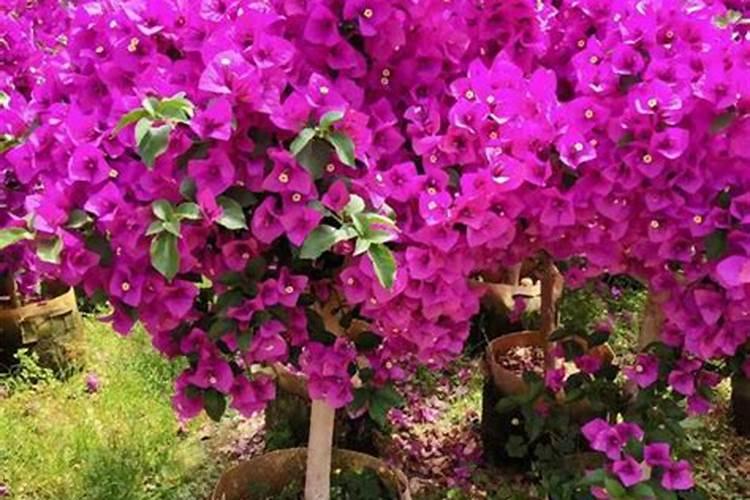 请提供一些英语单词