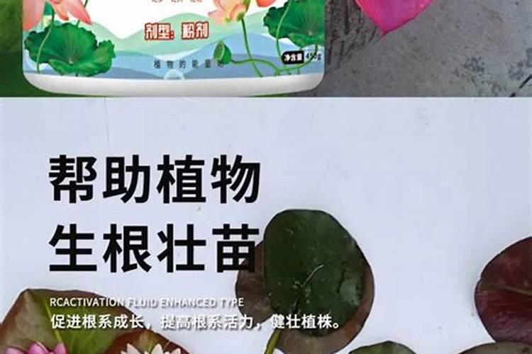 促进开花的肥料促开花需什么肥
