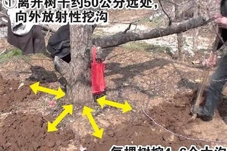 硫酸钾好还是硝硫基好