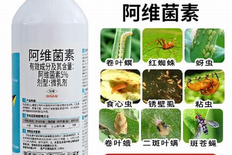 警惕肥料造假,了解甲酸钾水溶肥避免被“套路”