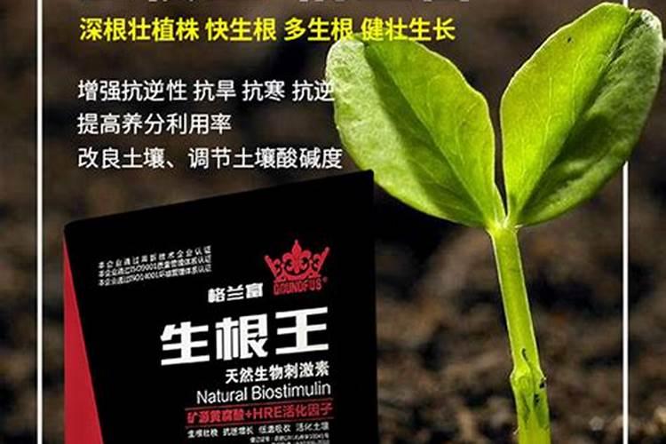 自制花肥料最简单方法  自制生根水最佳配方