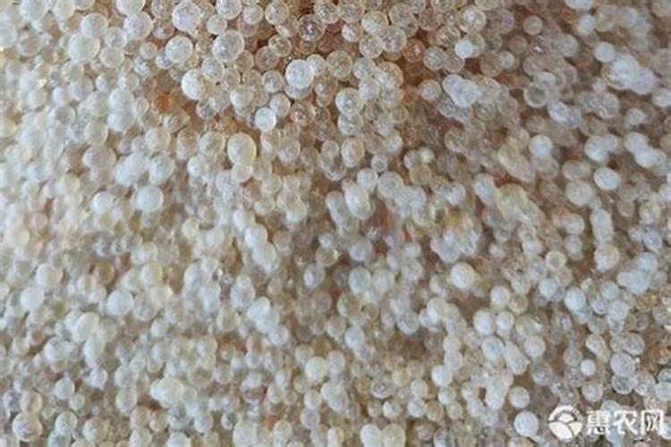 种植土豆想增产,关于施肥的要领都有哪些？