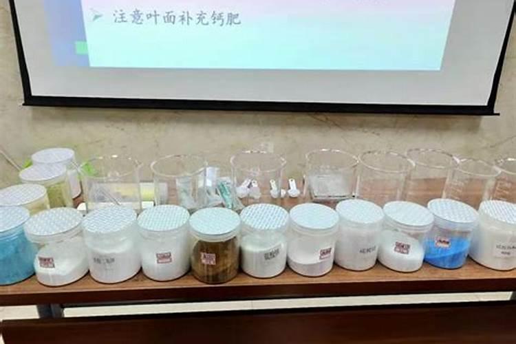 油菜什么时候喷施磷酸二氢钾花卉百科