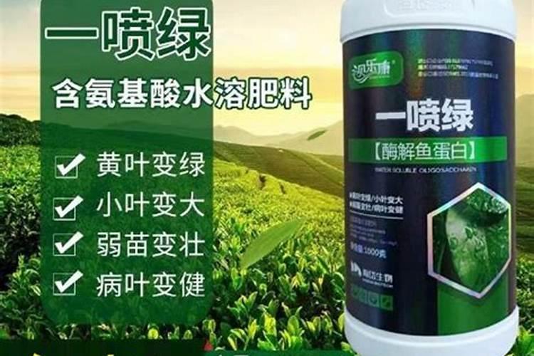 钾肥过量有什么危害科学施肥