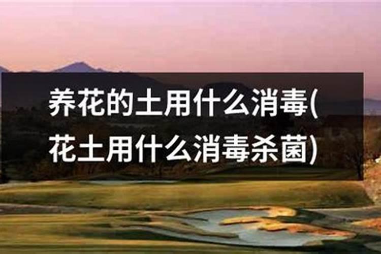 兰花施肥用什么肥料最好