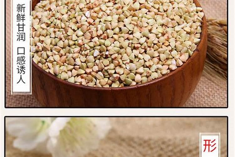 金荞麦的养护方法