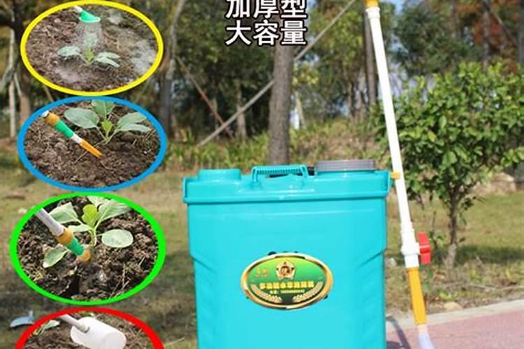 针叶松的叶子能不能剪短？