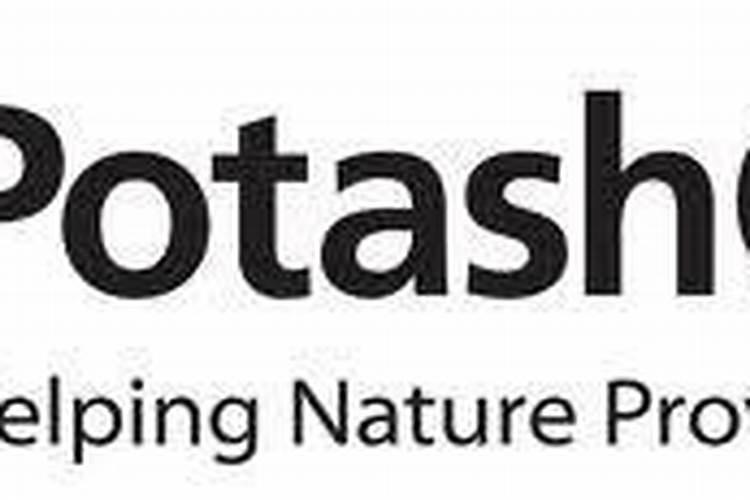 西葫芦肥料的禁忌 施肥要点有哪些