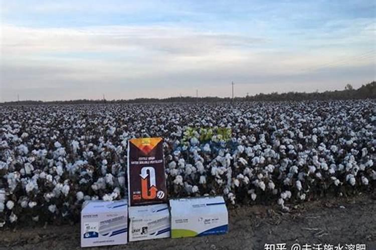 黄瓜可以用高钾肥吗？