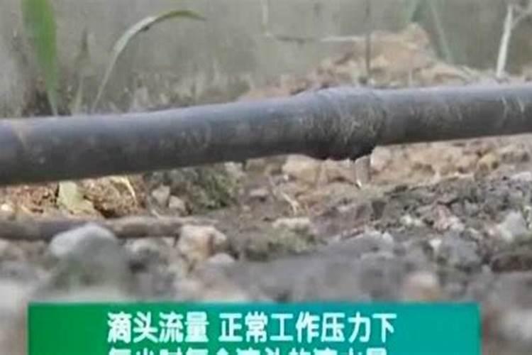 水溶磷肥有什么牌子的