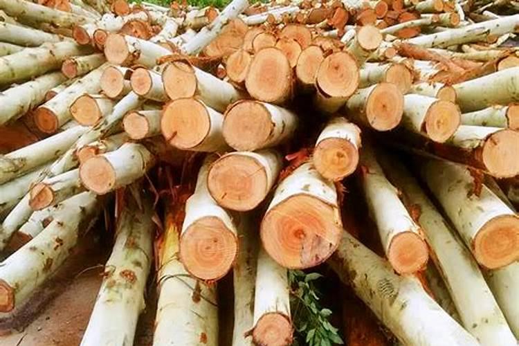 史可丰复合肥多少钱一吨？