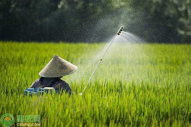 对于花生,在38度高温时能不能进行喷洒工作？