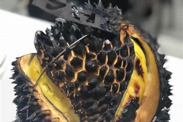 榴莲皮能够被用来做什么