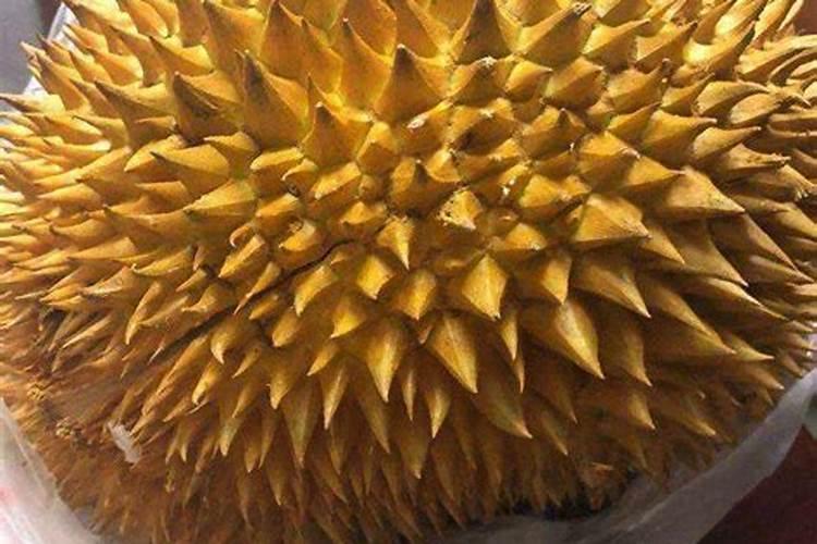 榴莲皮都能用于哪些方面