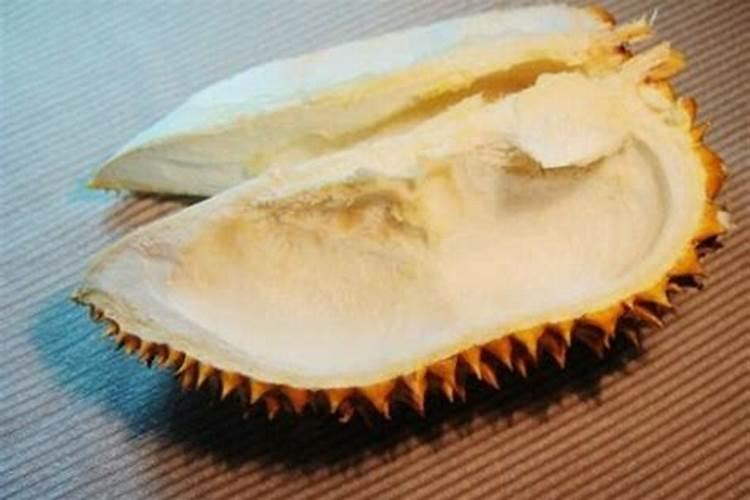 吃点榴莲皮养花一枝会萌出40朵花越臭越好!