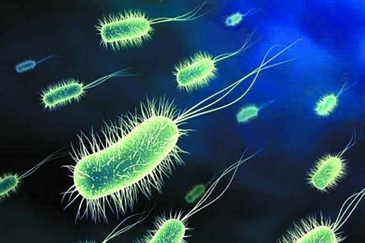 辣椒结果期用什么水溶肥效果好？辣椒膨大期专用叶面肥？