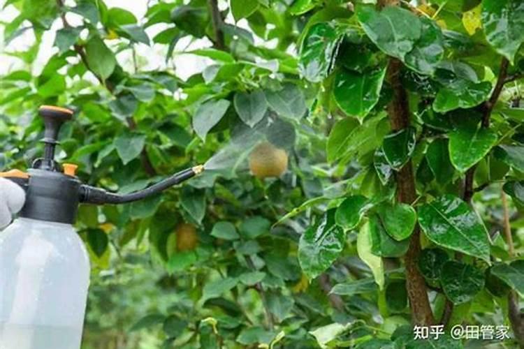 一水硫酸锌和七水硫酸锌有什么区别？？