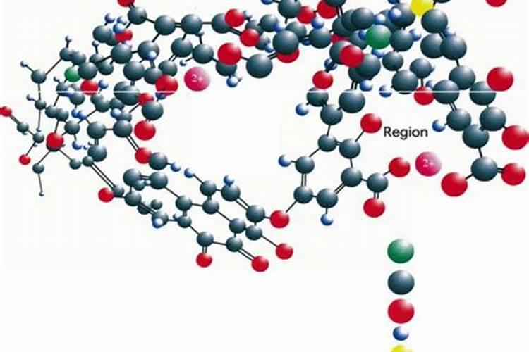 什么是腐质酸型复合肥？