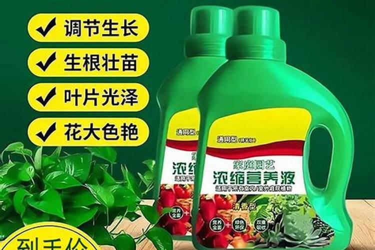 水培植物营养液的使用方法和注意事项