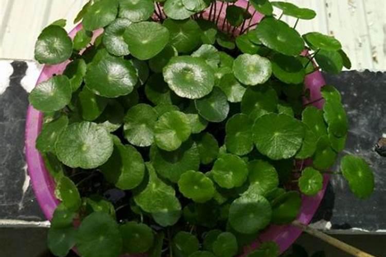 钻井液振动筛的工作原理是怎样的？