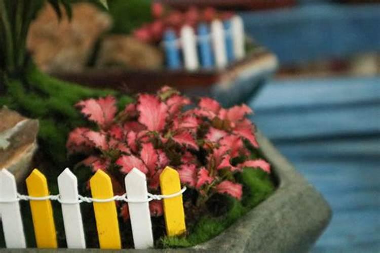 如何施用镁肥？