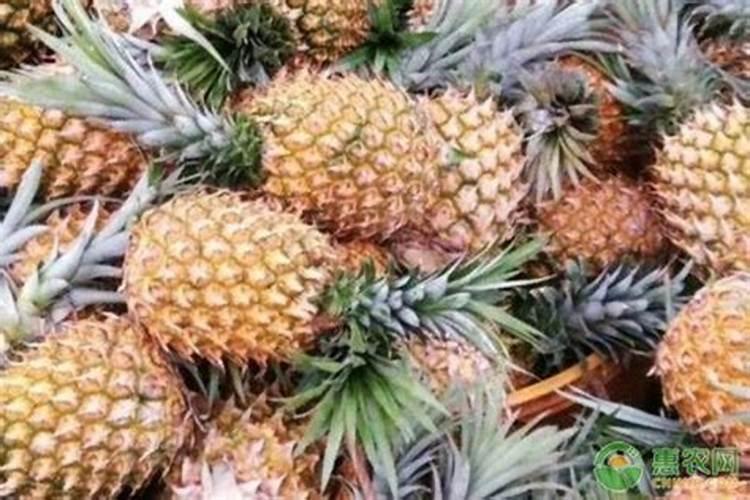 贴心人黄腐酸螯合肥怎么样