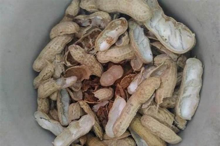 花生皮怎样做肥料 花生壳怎么做肥料