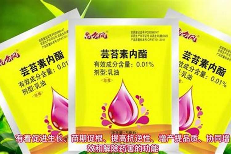 什么是小麦氮肥后移调优技术