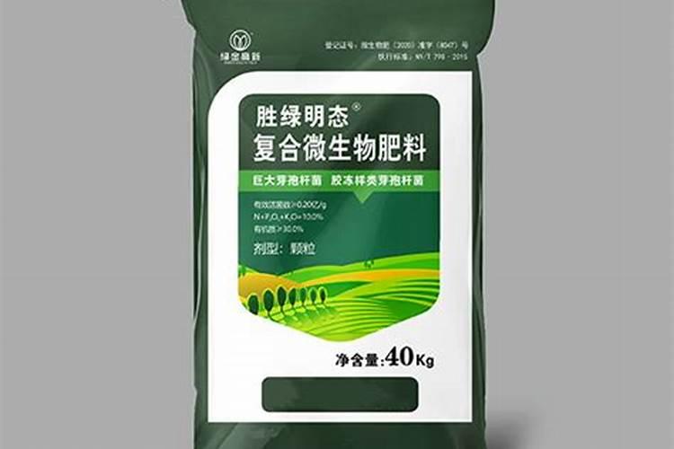 刚栽种的文竹如何养长新根快