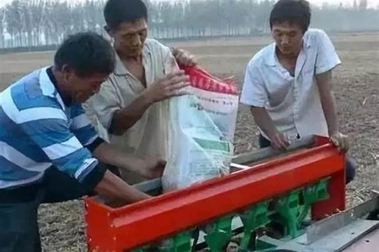 一亩大豆需要施多少化肥