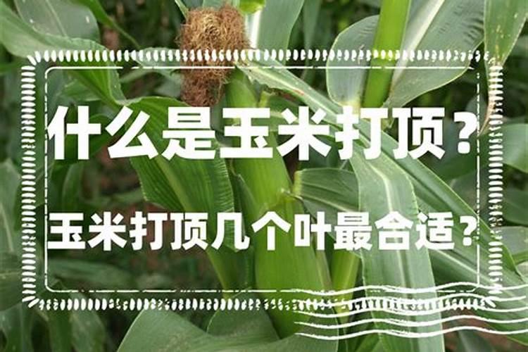 洛南矿山主分布主要在那些地方