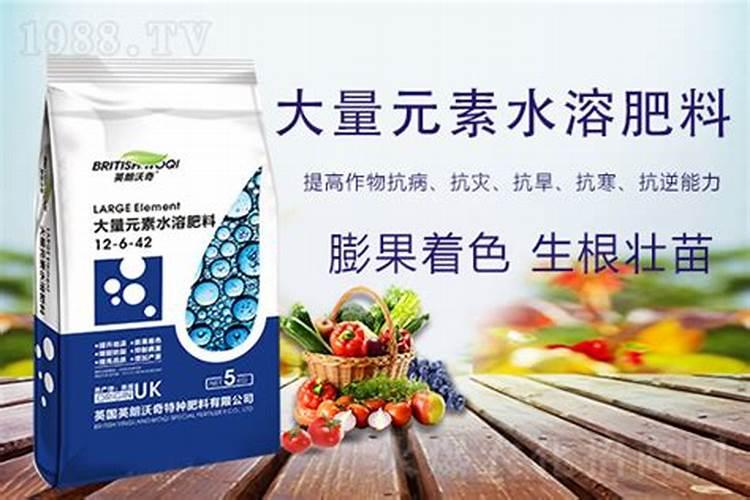 聚谷氨酸水溶肥的功效与作用