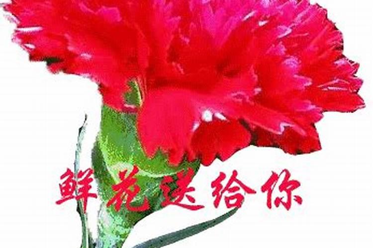 矿源黄腐酸钾哪个厂家好